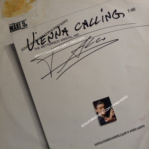 VIENNA CALLING / THE WIENER GIRLS remix / tango the night