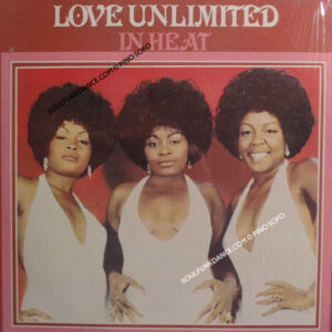 IN HEAT ( cont. vocal version-love's theme, move me no mountain, etc. )