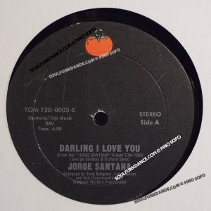 DARLING I LOVE YOU / SANDY
