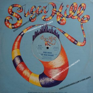 DISCO DREAM / INSTRUMENTAL VERSION