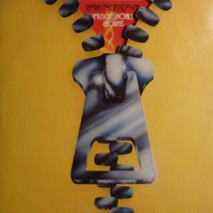 BORN TO GET DOWN ( cont. title track, break down, get it up, bump de bump yo boodie, & others good funk tracks )