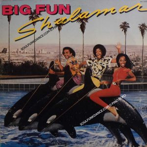 BIG FUN ( incl. second time around, right in the socket, i owe you one, girl, etc. )