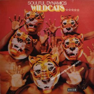WILDCATS ( incl. only you, eileen, i don't mind, devil's touch, bravo senorita, nie siah, etc. )