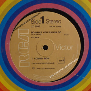 DO WHAT YOU WANNA DO / GOT TO SEE MY LADY