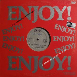 PUT THE BOOGIE IN YOUR BODY / VERS. STRUM.