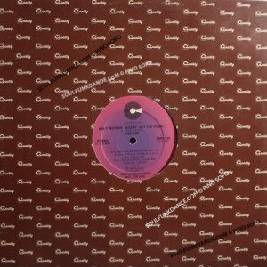 AIN'T NOTHIN' MISSIN' ( BUT THE MUSIC ) / HOLD ON
