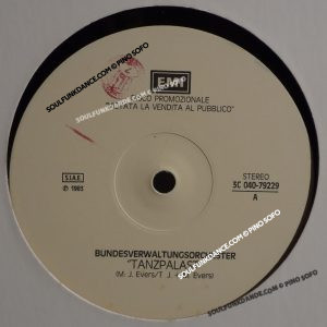 TANZPALAST / PINK PUNKER ( punk rock new wave )