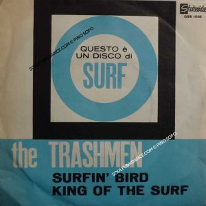 SURFIN' BIRD / KING OF THE SURF