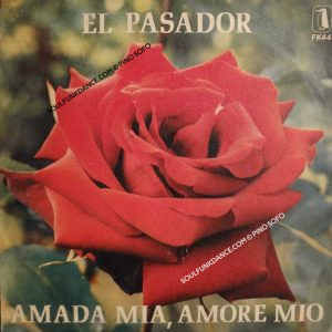 AMADA MIA, AMORE MIO / UNA ROSA