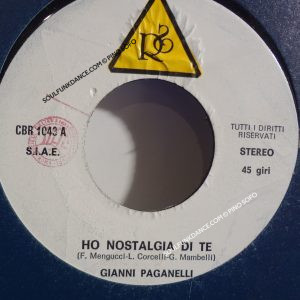 HO NOSTALGIA DI TE / LE CITTA' DEL NORD
