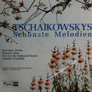 LIED OHNE WORTE/ NUR WER DIE SEHNSUCHT KENNT/ CHANSON TRISTE/ ANDANTE CANTABILE