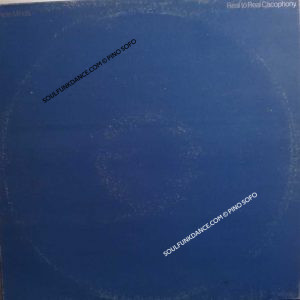 REAL TO REAL CACOPHONY ( incl. factory & premonition )