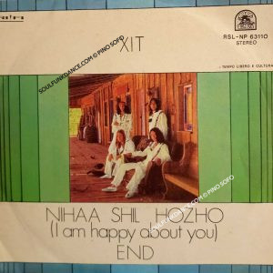 NIHAA SHIL HOZHO / END