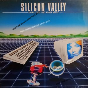 SILICON VALLEY ( incl. artificial intelligence )