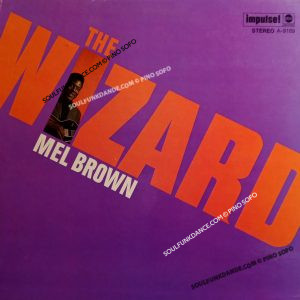 THE WIZARD ( incl. swamp fever, african sweets, etc. )