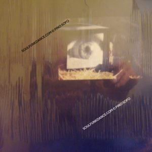 AMUSED TO DEATH ( incl. boock 16 page )