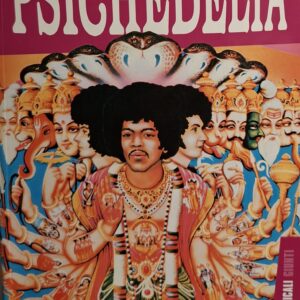 LIBRI E CATALOGHI MUSICALI | Libro, PSICHEDELIA, -Copertina differente- 128 pagine, Nuovo, foto a colori, oltre 300 dischi recensiti, anno di pubblicazione 2007, Rare illustrazioni, etc. )