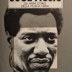 LIBRI E CATALOGHI MUSICALI | libro: SOUL MUSIC- Gli Anni d'oro Della Musica Nera, by Peter Guralnick, 358 pagine, come nuovo, dimensioni 21x14, anno 1987 - Raro
